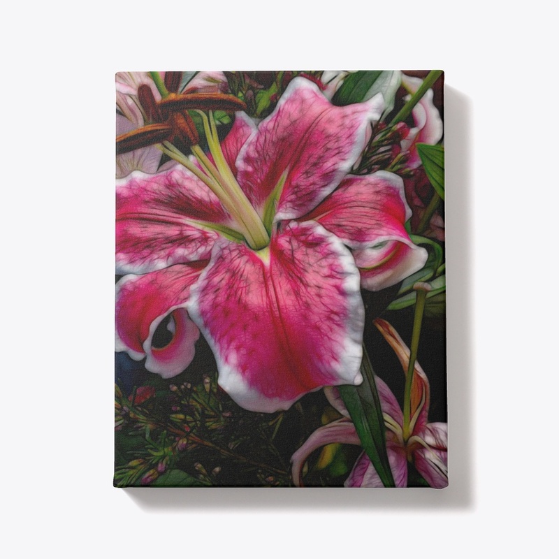 Big Petaled Pink and White Lily
